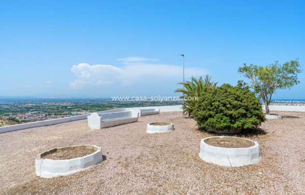 Wiederverkauf - Studio - Ciudad Quesada - Rojales