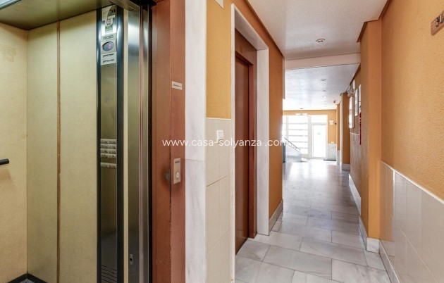 Revente - Appartement - Torrevieja - Center