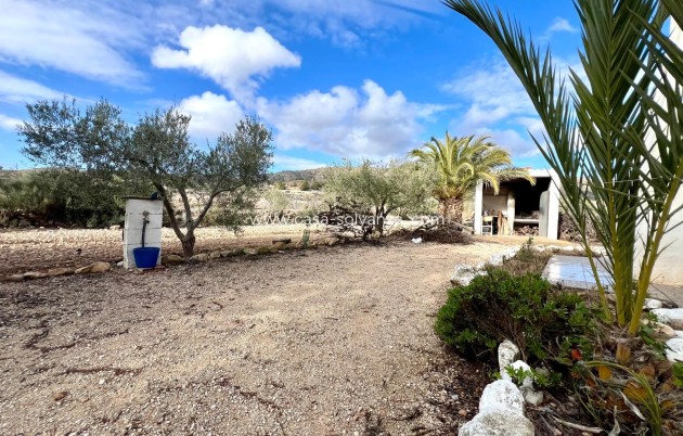 Revente - Country Property/Finca - Monóvar - Inland
