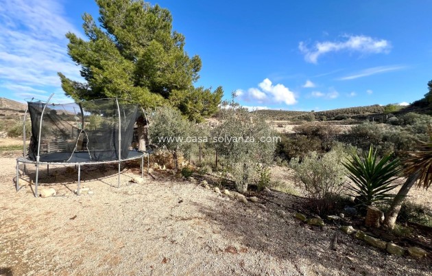 Revente - Country Property/Finca - Monóvar - Inland