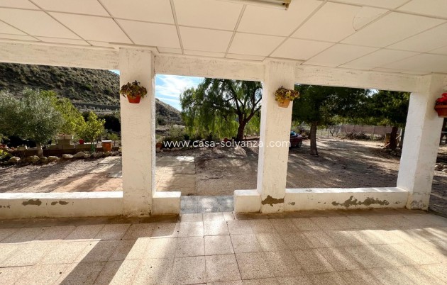 Revente - Country Property/Finca - Monóvar - Inland