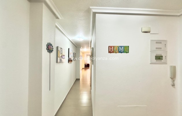 Wiederverkauf - Wohnung - Torrevieja