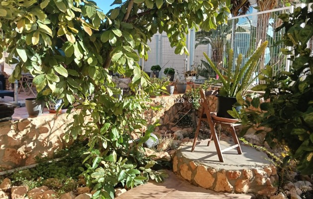 Revente - Appartement - Los Montesinos - Costa Blanca