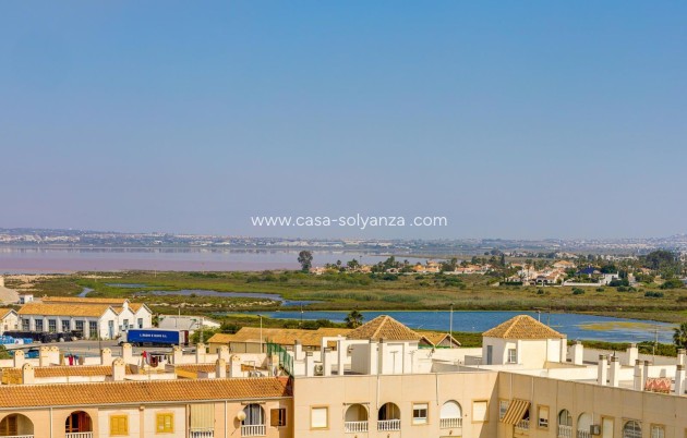 Revente - Appartement - Torrevieja - Acequion