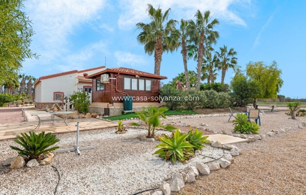 Resale - Villa - Daya Vieja - Costa Blanca