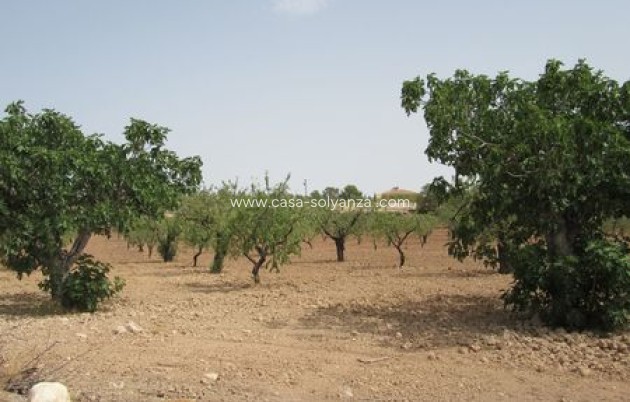 Resale - Land - Murcia