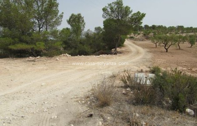 Resale - Land - Murcia