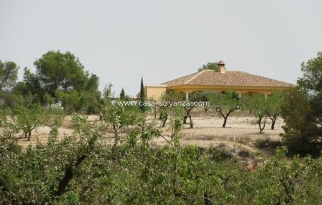 Resale - Land - Murcia