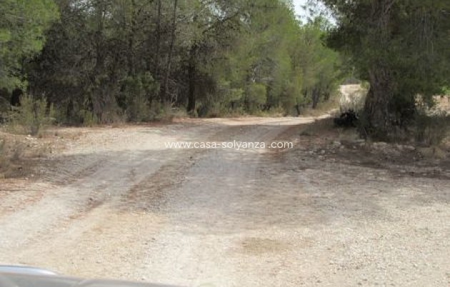 Resale - Land - Murcia