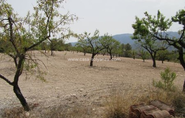 Resale - Land - Murcia