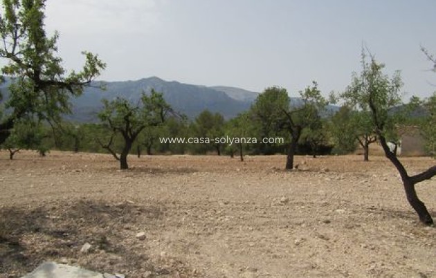 Resale - Land - Murcia