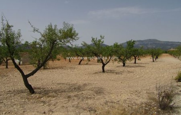 Resale - Land - Murcia