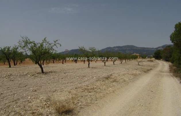 Resale - Land - Murcia