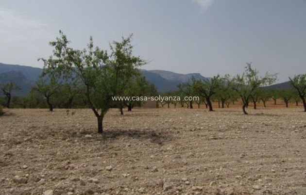 Resale - Land - Murcia