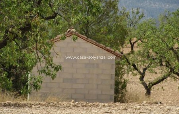 Resale - Land - Murcia