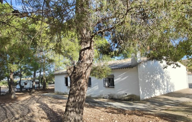 Revente - Country Property/Finca - Yecla - Inland