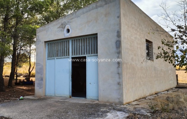 Revente - Country Property/Finca - Yecla - Inland
