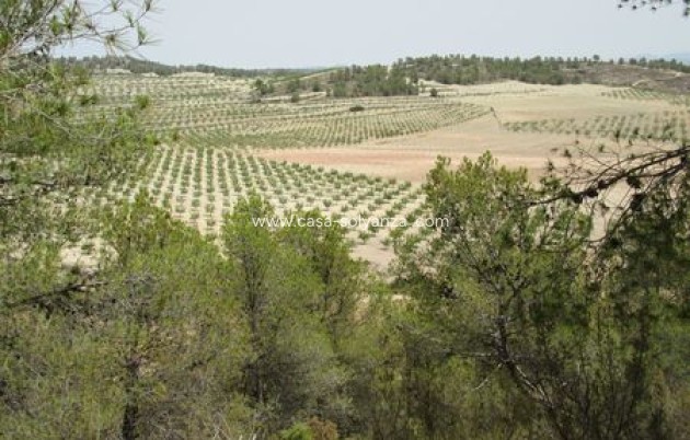 Resale - Land - Murcia