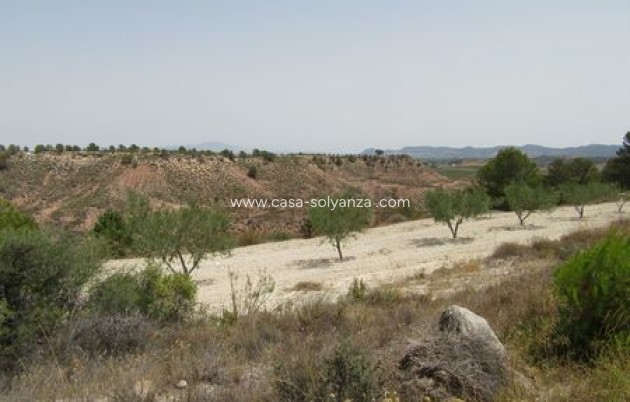 Resale - Land - Murcia