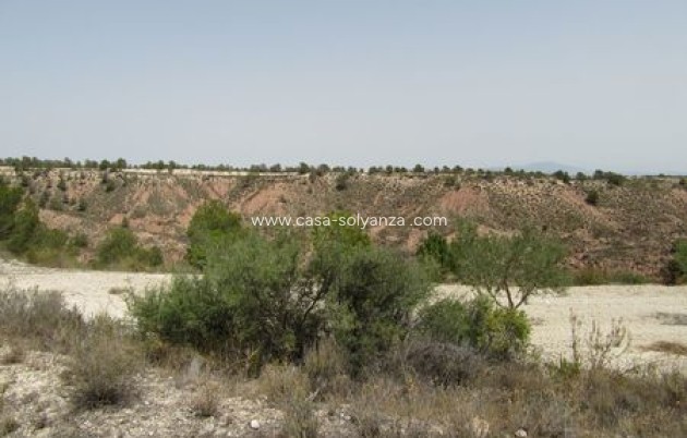 Resale - Land - Murcia