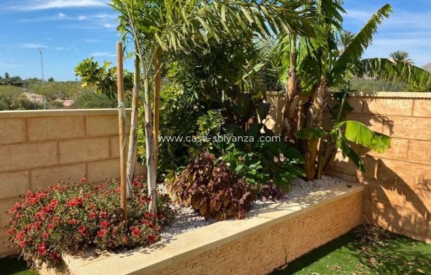 Revente - Villa - Albatera - Campo De Albatera