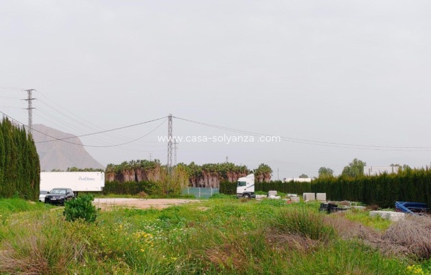 Wiederverkauf - Land - Orihuela