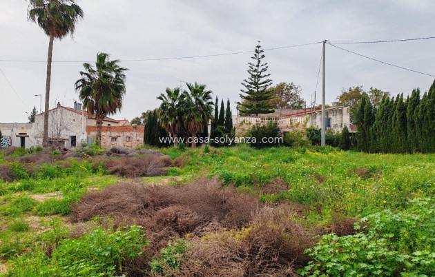 Wiederverkauf - Land - Orihuela