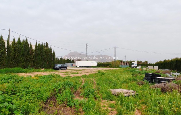 Wiederverkauf - Land - Orihuela