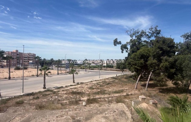 Revente - Bungalow - Guardamar del Segura - Oasis Beach