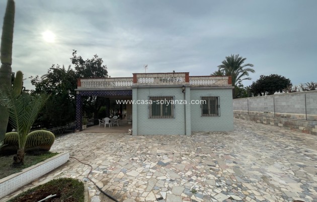 Revente - Villa - Elche - Costa Blanca