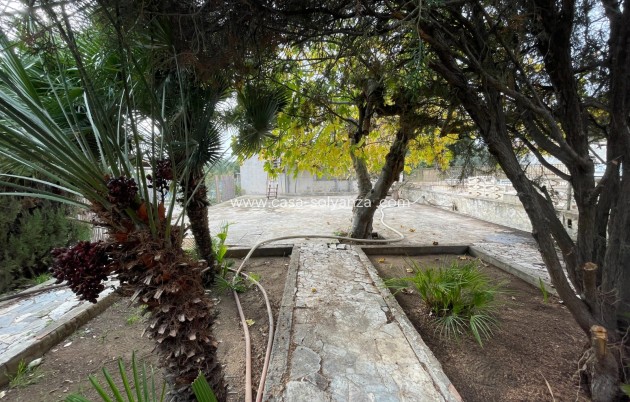 Revente - Villa - Elche - Costa Blanca