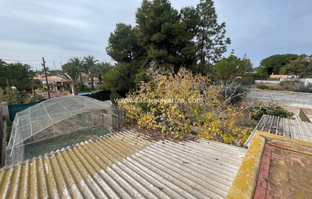 Revente - Villa - Elche - Costa Blanca