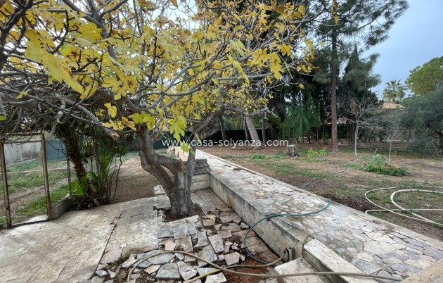 Revente - Villa - Elche - Costa Blanca