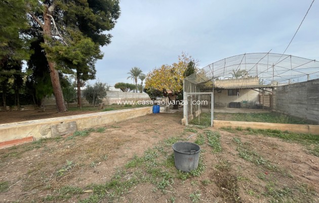 Revente - Villa - Elche - Costa Blanca