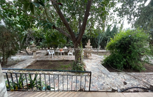 Revente - Villa - Elche - Costa Blanca