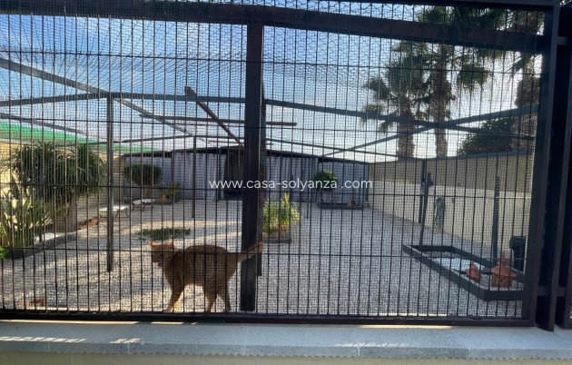 Revente - Country Property/Finca - Elche - Costa Blanca