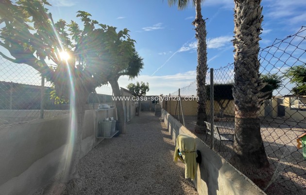 Revente - Country Property/Finca - Elche - Costa Blanca