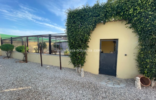 Revente - Country Property/Finca - Elche - Costa Blanca