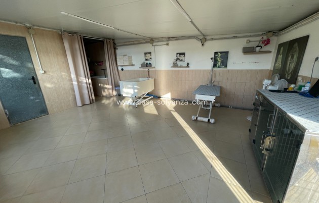 Revente - Country Property/Finca - Elche - Costa Blanca