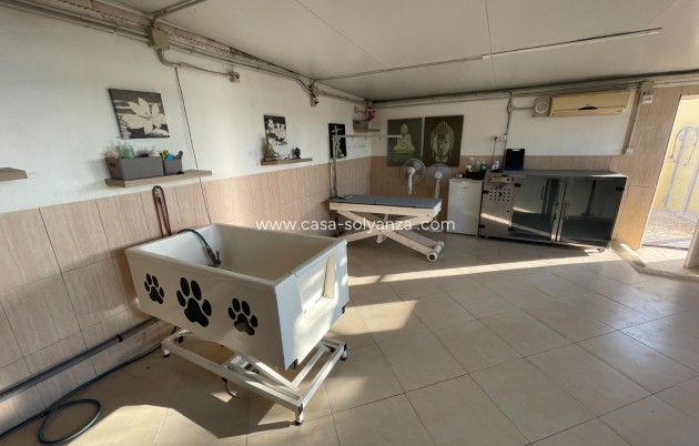 Revente - Country Property/Finca - Elche - Costa Blanca