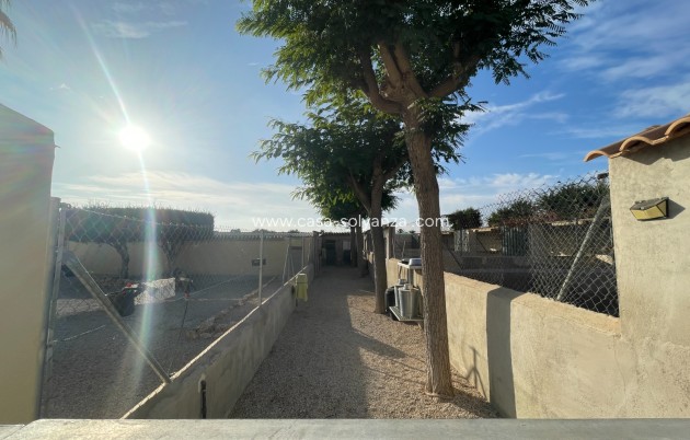 Revente - Country Property/Finca - Elche - Costa Blanca
