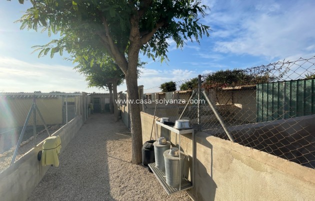 Revente - Country Property/Finca - Elche - Costa Blanca