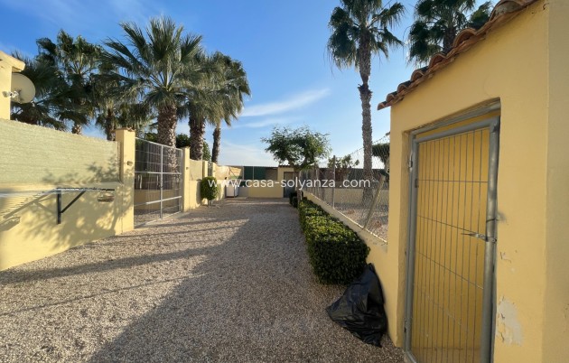 Revente - Country Property/Finca - Elche - Costa Blanca