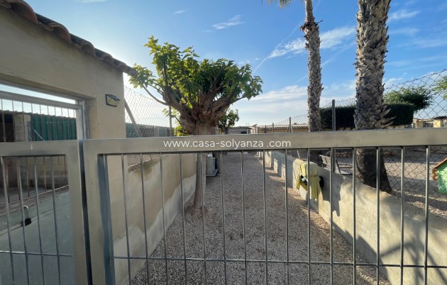 Revente - Country Property/Finca - Elche - Costa Blanca