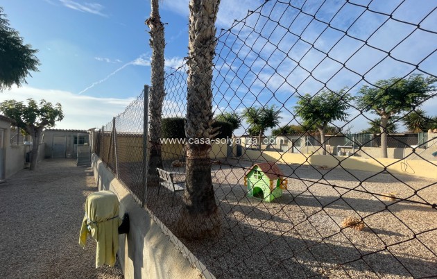 Revente - Country Property/Finca - Elche - Costa Blanca