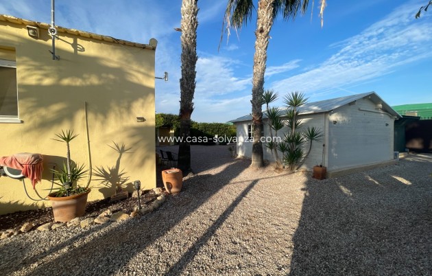 Revente - Country Property/Finca - Elche - Costa Blanca