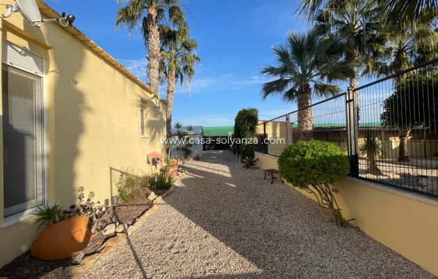 Revente - Country Property/Finca - Elche - Costa Blanca