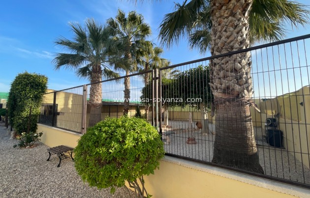 Revente - Country Property/Finca - Elche - Costa Blanca