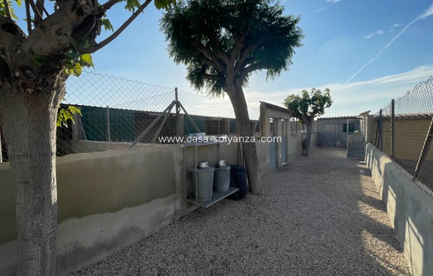 Revente - Country Property/Finca - Elche - Costa Blanca