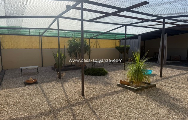 Revente - Country Property/Finca - Elche - Costa Blanca